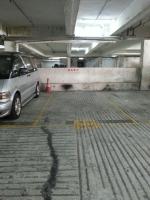  Sha Tin Carpark  Sha Kok Street  Shatinpark Stage 1  parking space photo 香港車位.com ParkingHK.com