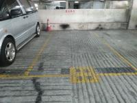  Sha Tin Carpark  Sha Kok Street  Shatinpark Stage 1  parking space photo 香港車位.com ParkingHK.com