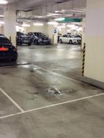  Tseung Kwan O Carpark  Lohas Park Road  Lohas Park Le Prestige  parking space photo 香港車位.com ParkingHK.com