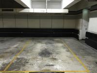  Tin Shui Wai Carpark  Tin Wu Road  嘉湖山莊 賞湖居  parking space photo 香港車位.com ParkingHK.com