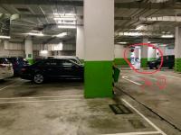  Sha Tin Carpark  Siu Lek Yuen Road  Castello  parking space photo 香港車位.com ParkingHK.com