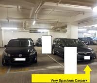  Tseung Kwan O Carpark  O King Road  Ocean Shores Phase 1  parking space photo 香港車位.com ParkingHK.com