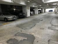  Fo Tan Carpark  Tsun King Road  Royal Ascot  parking space photo 香港車位.com ParkingHK.com