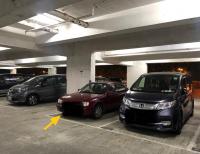  Sheung Shui Carpark  Chi Cheong Road  Sunningdale Garden  parking space photo 香港車位.com ParkingHK.com