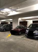  Sheung Shui Carpark  Chi Cheong Road  Sunningdale Garden  parking space photo 香港車位.com ParkingHK.com