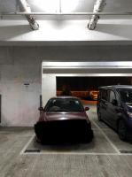  Sheung Shui Carpark  Chi Cheong Road  Sunningdale Garden  parking space photo 香港車位.com ParkingHK.com