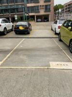  Hung Shui Kiu Carpark  Tan Kwai Tsuen Road  Meadowlands  parking space photo 香港車位.com ParkingHK.com