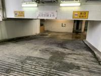  Tuen Mun Carpark  Tsun Wen Road  Tai Hing Gardens Phase 1  parking space photo 香港車位.com ParkingHK.com