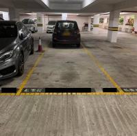  Tai Wai Carpark  Kak Tin Street  Golden Lion Garden Phase 2  parking space photo 香港車位.com ParkingHK.com