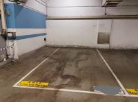  Tseung Kwan O Carpark  Pui Shing Road  Residence Oasis  parking space photo 香港車位.com ParkingHK.com