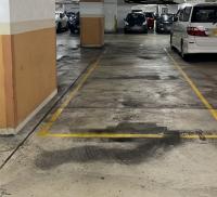  Tseung Kwan O Carpark  Yan King Road   Metro City Phase 2  parking space photo 香港車位.com ParkingHK.com