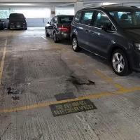  Tsing Lung Tau Carpark  Castle Peak Road Tsing Lung Tau  Hong Kong Garden  parking space photo 香港車位.com ParkingHK.com