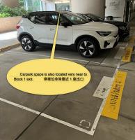  Tung Chung Carpark  Tung Chung Waterfront road  Seaview Crescent  parking space photo 香港車位.com ParkingHK.com