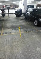  Tseung Kwan O Carpark  Castle Peak Road Hung Shui Kiu   Bauhinia Garden  parking space photo 香港車位.com ParkingHK.com