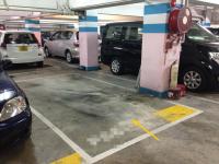  Tuen Mun Carpark  Castle Peak Road Castle Peak Bay  Hanford Garden  parking space photo 香港車位.com ParkingHK.com